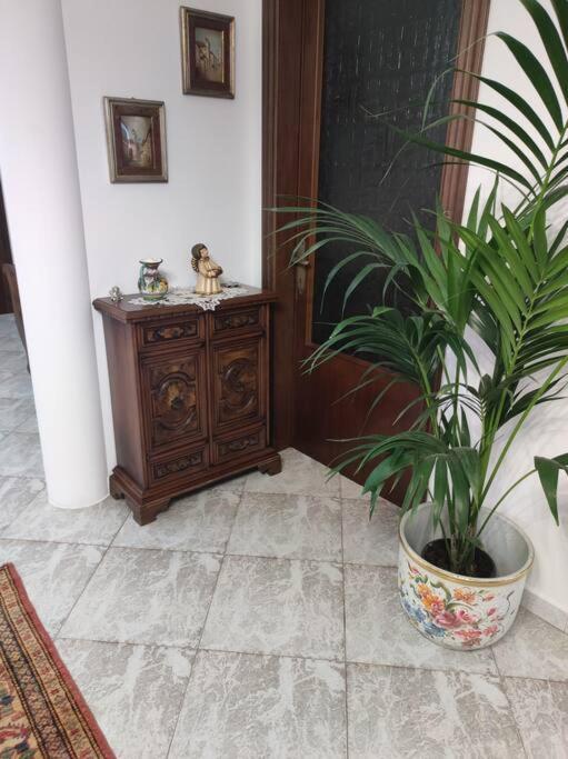 הוילה פאדובה Casa Argia מראה חיצוני תמונה