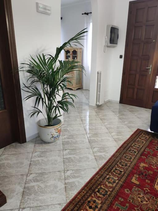 הוילה פאדובה Casa Argia מראה חיצוני תמונה